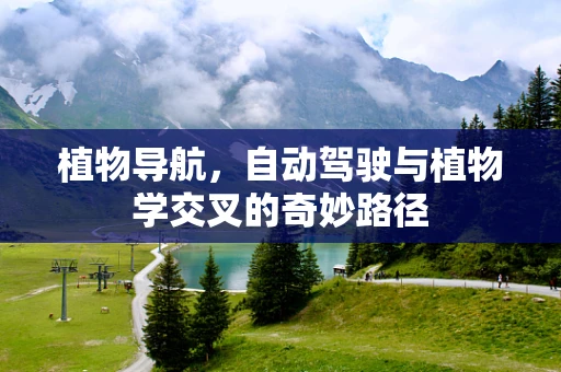 植物导航，自动驾驶与植物学交叉的奇妙路径