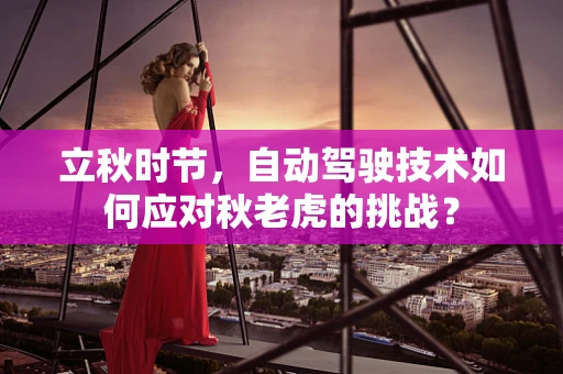 立秋时节，自动驾驶技术如何应对秋老虎的挑战？