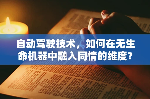 自动驾驶技术，如何在无生命机器中融入同情的维度？