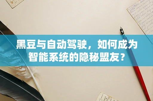 黑豆与自动驾驶，如何成为智能系统的隐秘盟友？