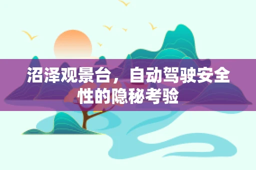 沼泽观景台，自动驾驶安全性的隐秘考验