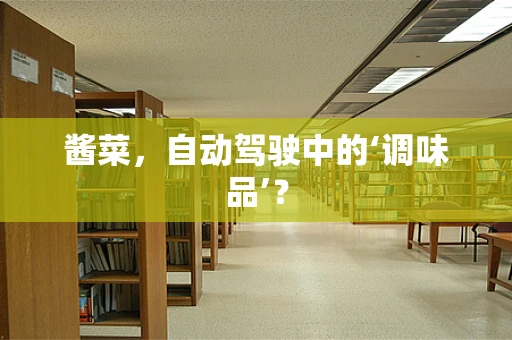 酱菜，自动驾驶中的‘调味品’？