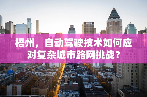 梧州，自动驾驶技术如何应对复杂城市路网挑战？
