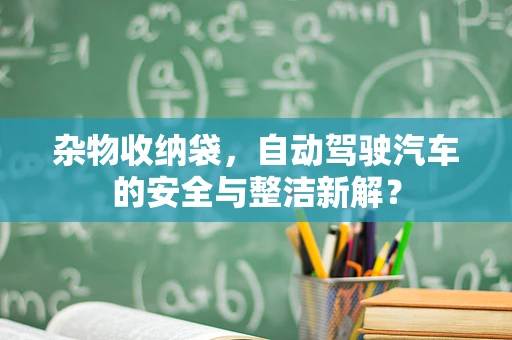 杂物收纳袋，自动驾驶汽车的安全与整洁新解？