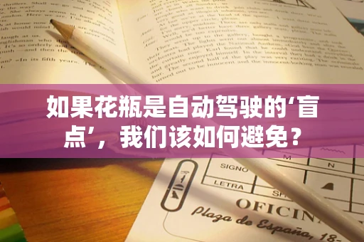 如果花瓶是自动驾驶的‘盲点’，我们该如何避免？