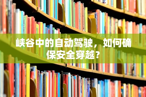 峡谷中的自动驾驶，如何确保安全穿越？