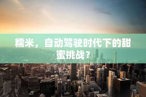 糯米，自动驾驶时代下的甜蜜挑战？
