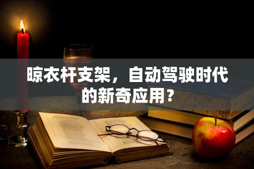 晾衣杆支架，自动驾驶时代的新奇应用？