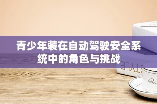 青少年装在自动驾驶安全系统中的角色与挑战