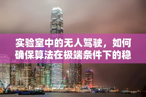 实验室中的无人驾驶，如何确保算法在极端条件下的稳健性？