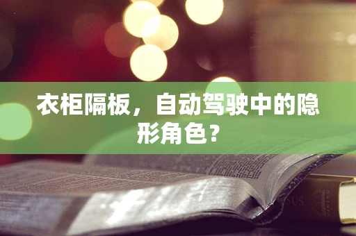 衣柜隔板，自动驾驶中的隐形角色？