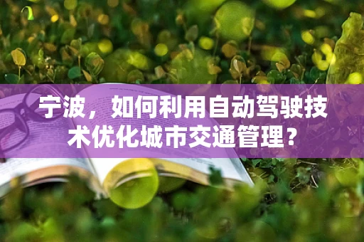 宁波，如何利用自动驾驶技术优化城市交通管理？