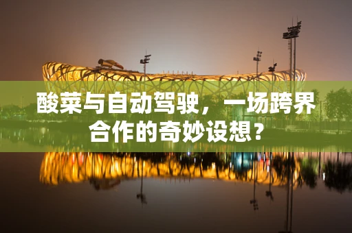 酸菜与自动驾驶，一场跨界合作的奇妙设想？