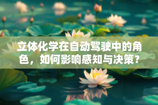 立体化学在自动驾驶中的角色，如何影响感知与决策？