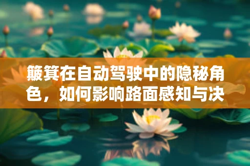 簸箕在自动驾驶中的隐秘角色，如何影响路面感知与决策？