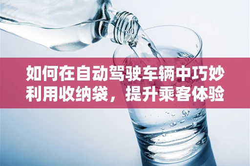 如何在自动驾驶车辆中巧妙利用收纳袋，提升乘客体验与安全？