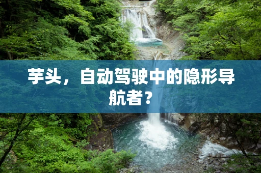 芋头，自动驾驶中的隐形导航者？