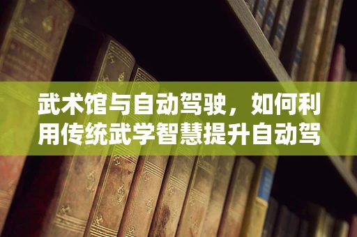 武术馆与自动驾驶，如何利用传统武学智慧提升自动驾驶安全性能？