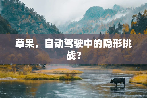 草果，自动驾驶中的隐形挑战？