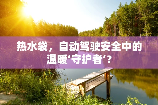 热水袋，自动驾驶安全中的温暖‘守护者’？