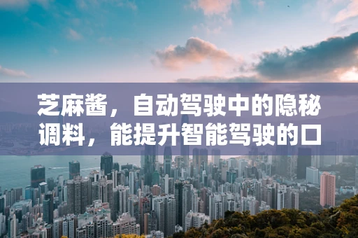芝麻酱，自动驾驶中的隐秘调料，能提升智能驾驶的口感吗？