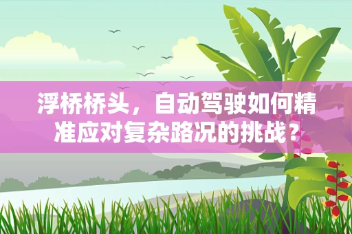 浮桥桥头，自动驾驶如何精准应对复杂路况的挑战？