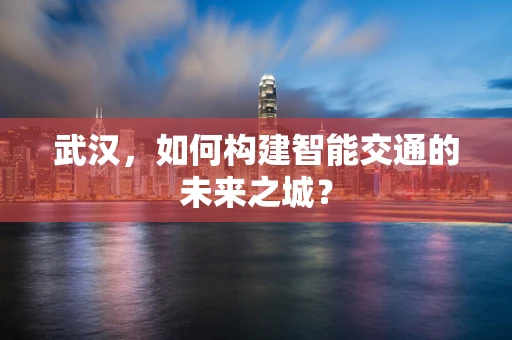 武汉，如何构建智能交通的未来之城？