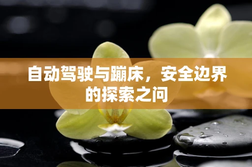 自动驾驶与蹦床，安全边界的探索之问