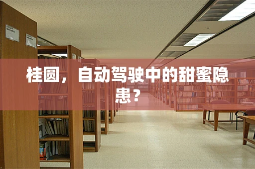 桂圆，自动驾驶中的甜蜜隐患？