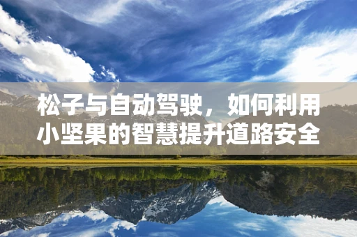 松子与自动驾驶，如何利用小坚果的智慧提升道路安全？