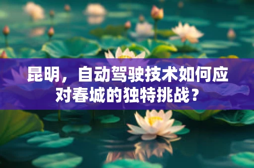 昆明，自动驾驶技术如何应对春城的独特挑战？
