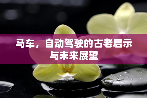 马车，自动驾驶的古老启示与未来展望