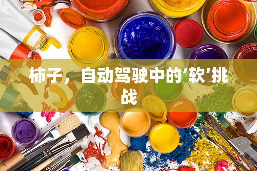 柿子，自动驾驶中的‘软’挑战