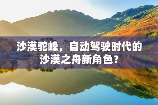 沙漠驼峰，自动驾驶时代的沙漠之舟新角色？