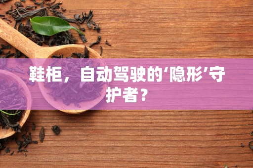 鞋柜，自动驾驶的‘隐形’守护者？