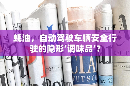 蚝油，自动驾驶车辆安全行驶的隐形‘调味品’？