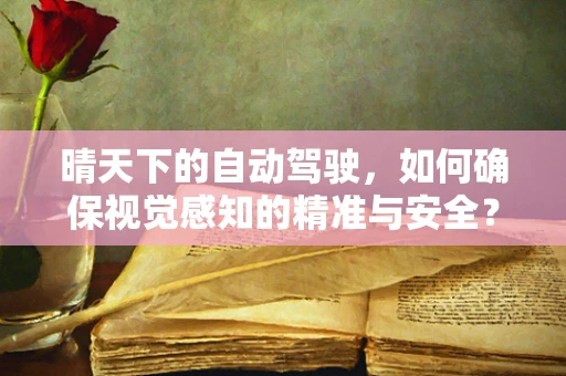 晴天下的自动驾驶，如何确保视觉感知的精准与安全？