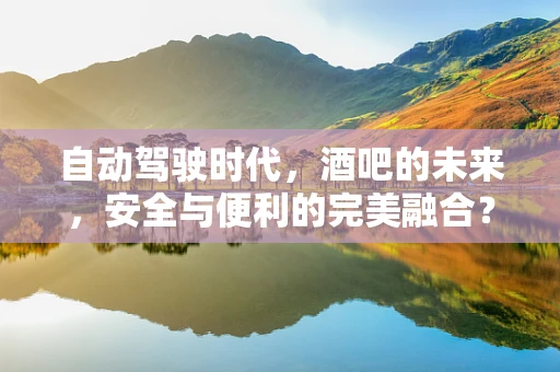 自动驾驶时代，酒吧的未来，安全与便利的完美融合？
