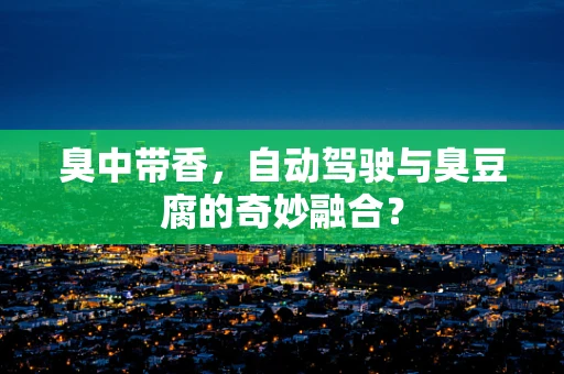 臭中带香，自动驾驶与臭豆腐的奇妙融合？
