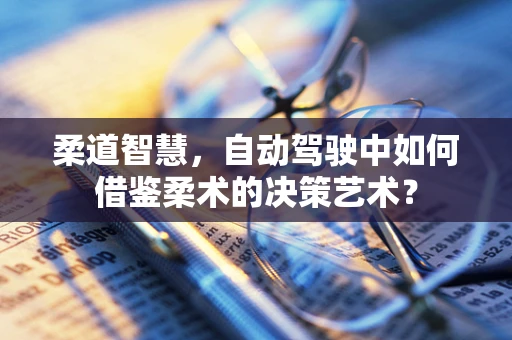 柔道智慧，自动驾驶中如何借鉴柔术的决策艺术？