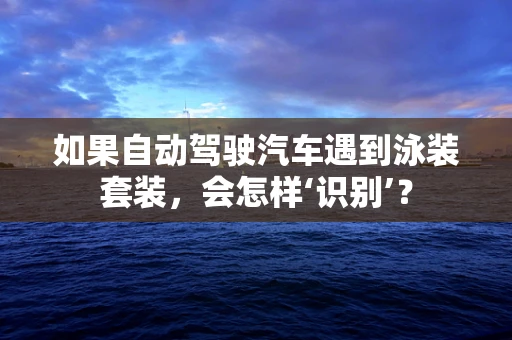 如果自动驾驶汽车遇到泳装套装，会怎样‘识别’？
