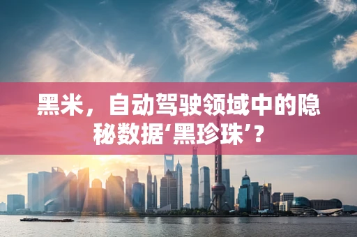黑米，自动驾驶领域中的隐秘数据‘黑珍珠’？
