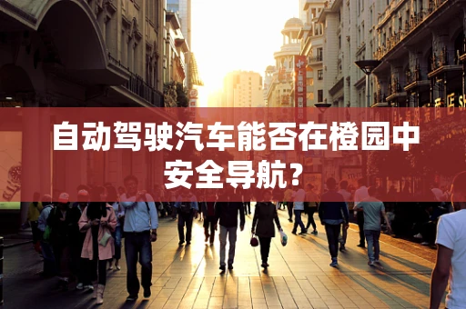 自动驾驶汽车能否在橙园中安全导航？