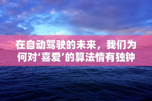 在自动驾驶的未来，我们为何对‘喜爱’的算法情有独钟？