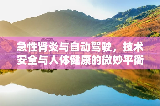 急性肾炎与自动驾驶，技术安全与人体健康的微妙平衡