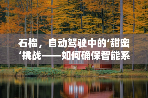 石榴，自动驾驶中的‘甜蜜’挑战——如何确保智能系统在复杂环境下的‘味觉’判断？