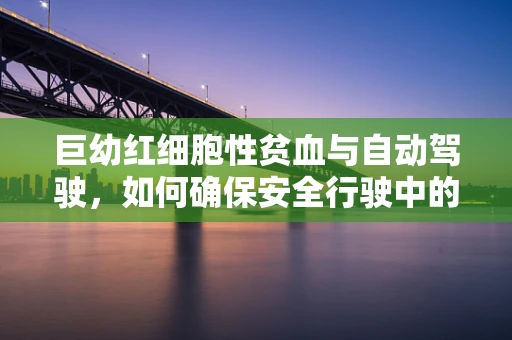 巨幼红细胞性贫血与自动驾驶，如何确保安全行驶中的营养补给？