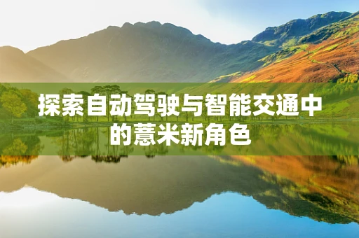 探索自动驾驶与智能交通中的薏米新角色