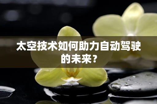 太空技术如何助力自动驾驶的未来？
