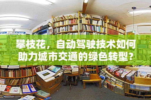 攀枝花，自动驾驶技术如何助力城市交通的绿色转型？